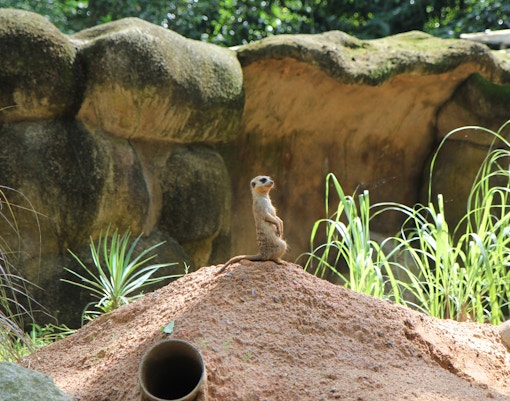 Great Rift Valley of Ethiopia