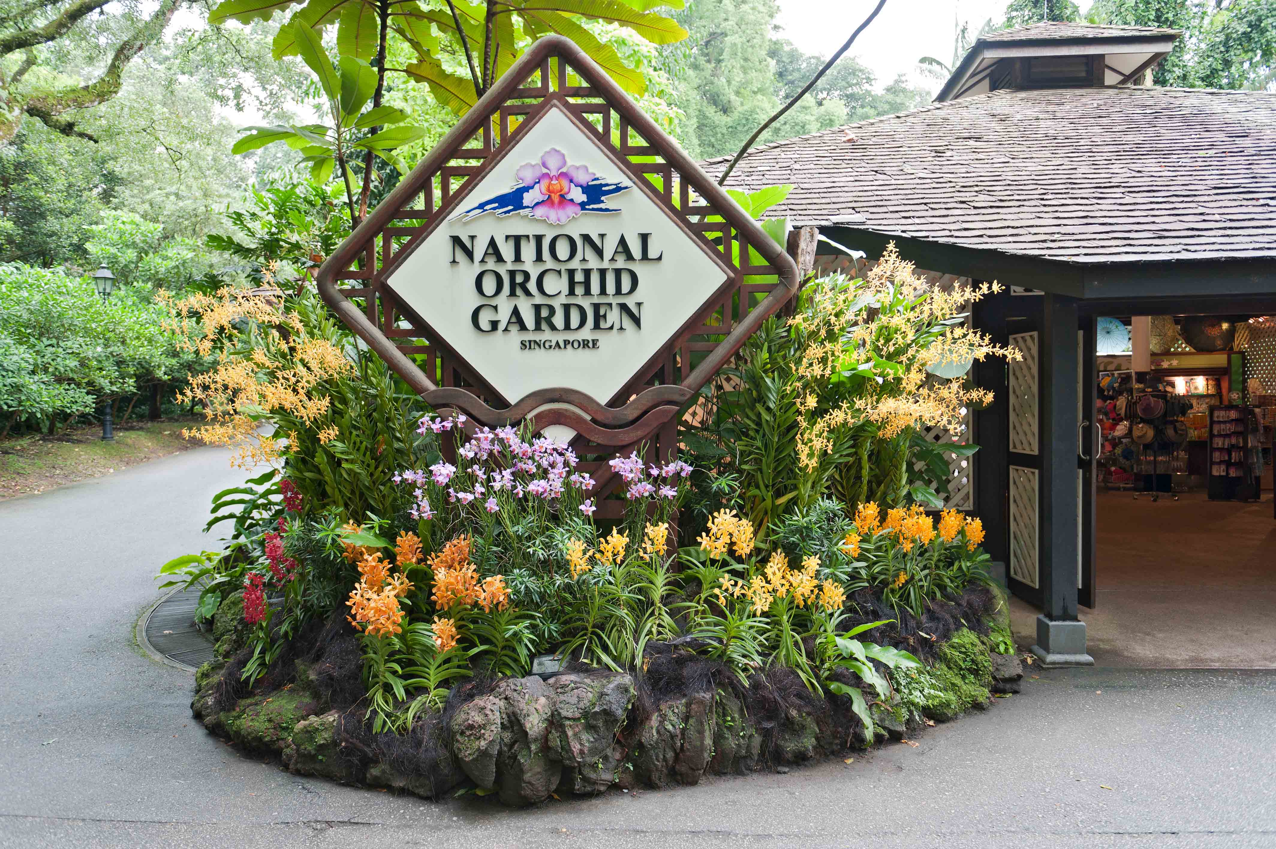Best places to visit in Singapore - Singapore National Orchid Garden