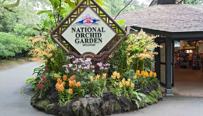 Best places to visit in Singapore - Singapore National Orchid Garden