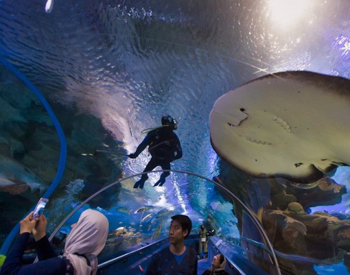 Biglietti per la Torre di Kuala Lumpur