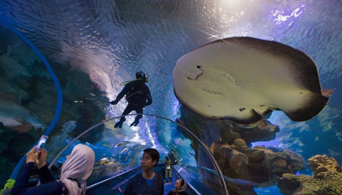 Visitors in an underwater tunnel at Blue Coral Aquarium, KL Tower, observing a diver and stingray.