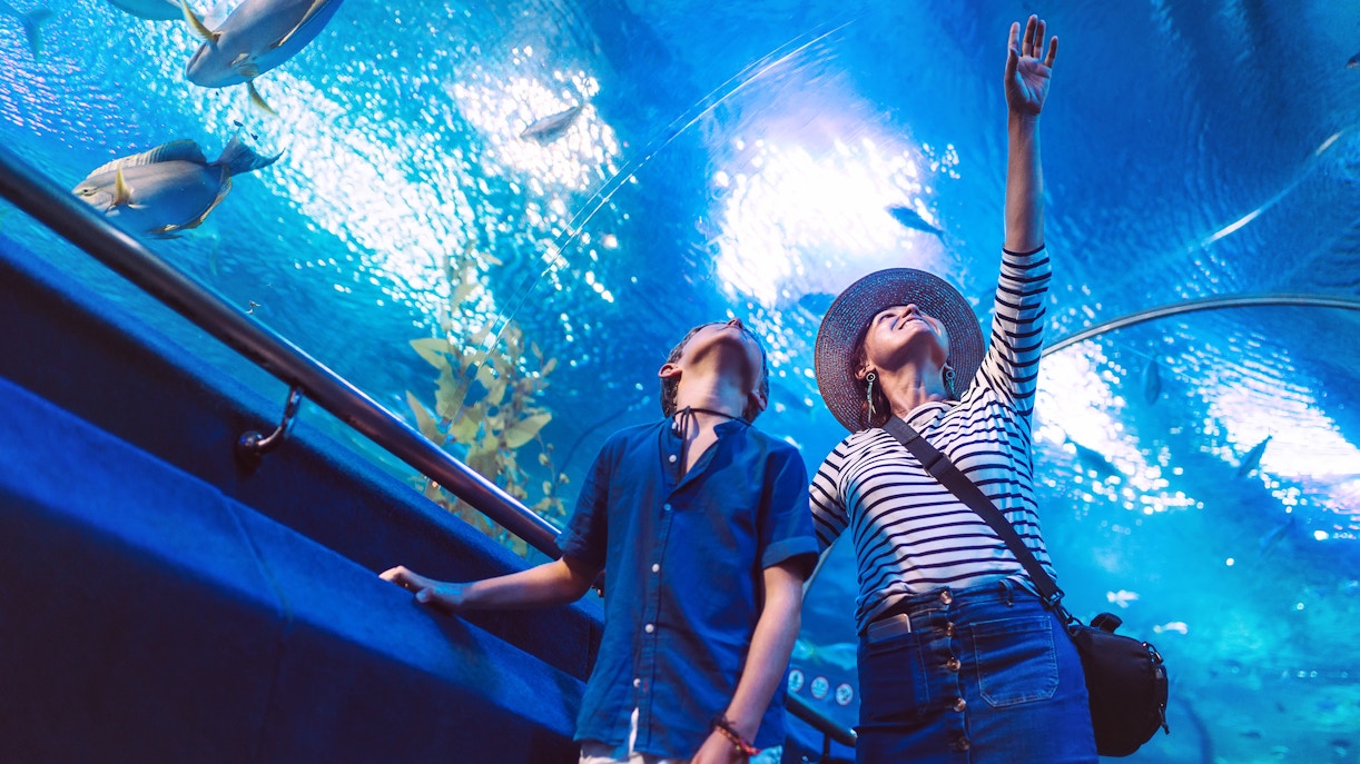 Langkawi Underwater World