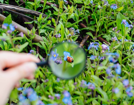 Entopia na Penang Butterfly Farm: atividades de aprendizagem na natureza