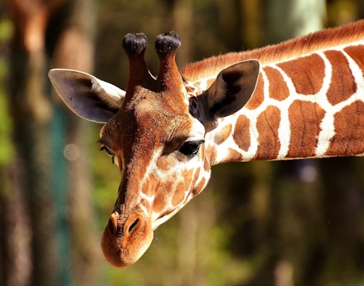 Central Florida Zoo & Botanical Gardens