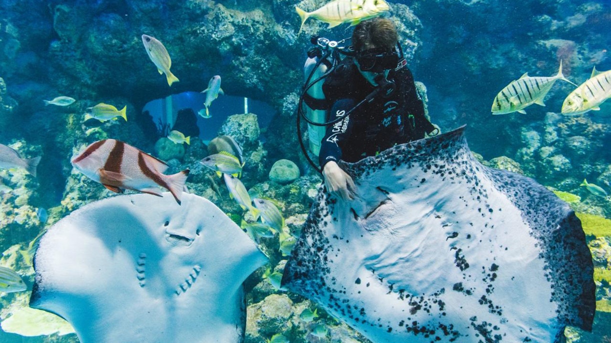 Best things to do in Cairns