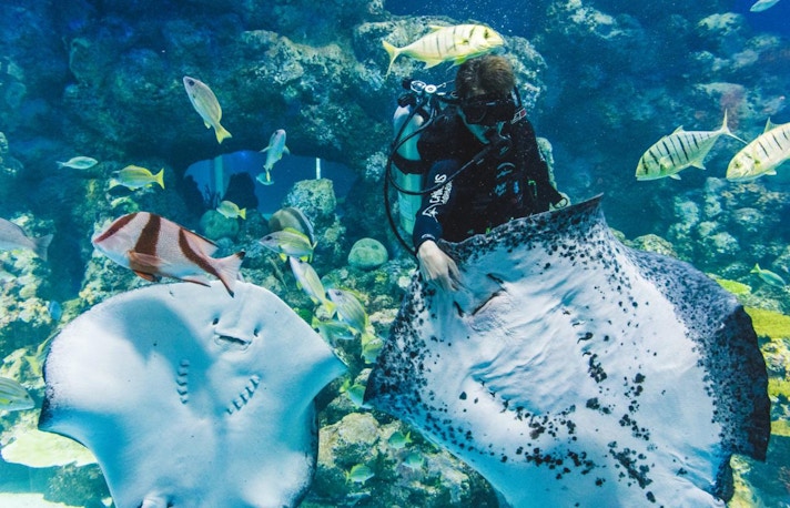 Aquaria KLCC
