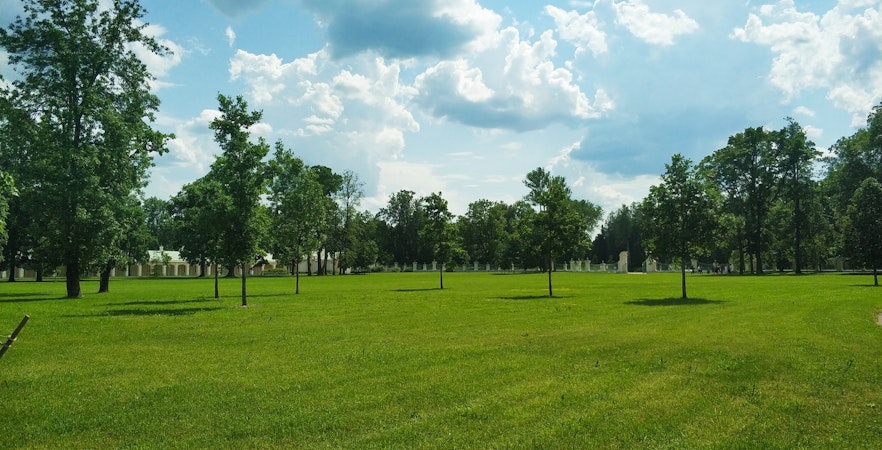 Best Parks in Singapore <br> Timings, Things to do, Tips & More