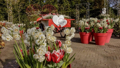 Keukenhof Amsterdam 2023