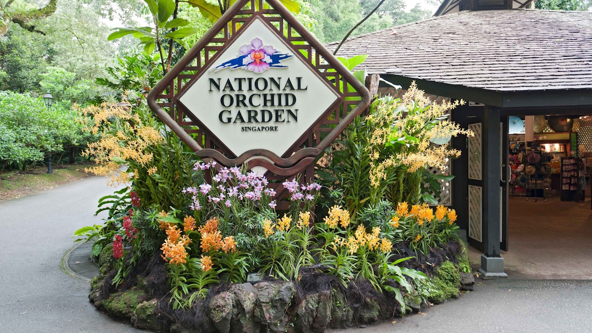 National Orchid Garden Tickets