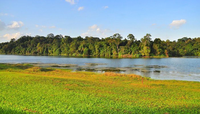 Parks in Singapore - MacRitchie Reservoir