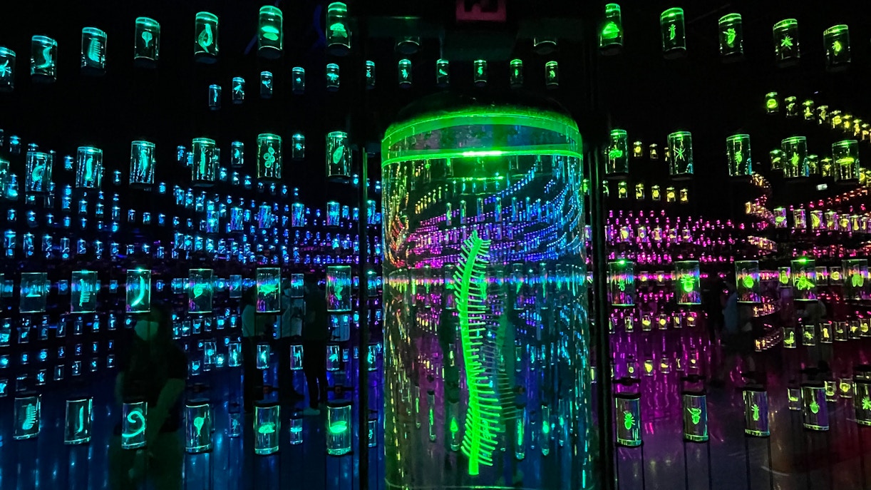 About Museum Of The Future