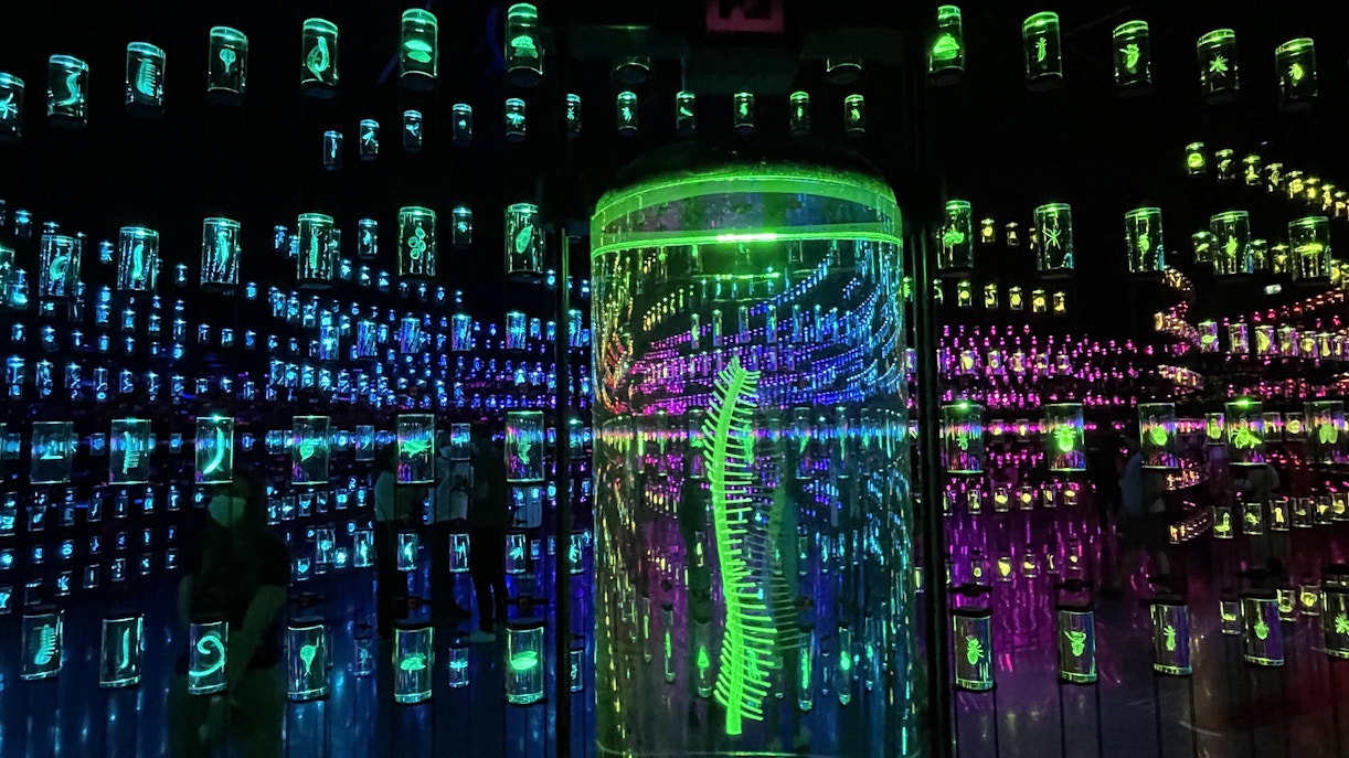 About Museum Of The Future