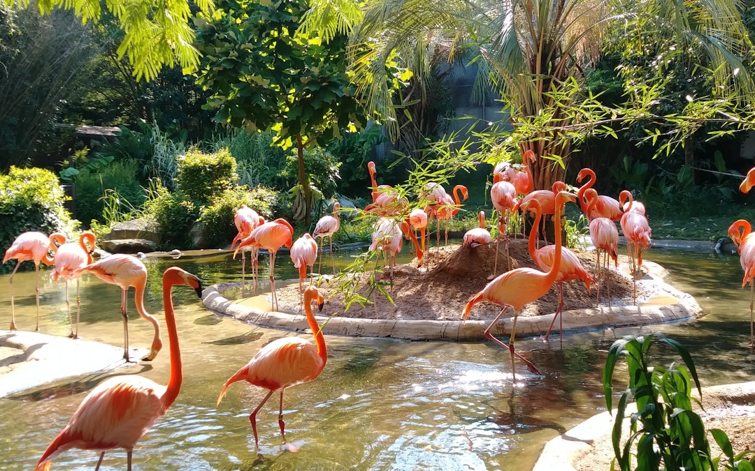Marineland Mallorca