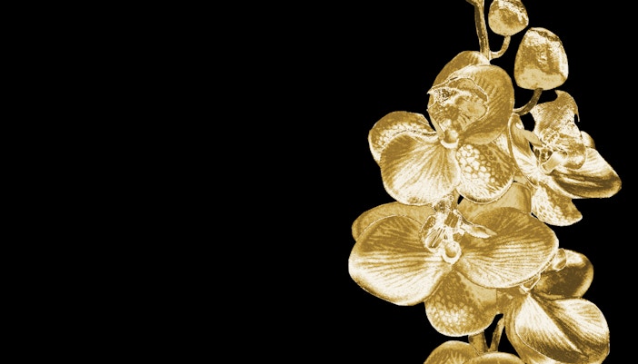 Shopping in Singapore - Gold Accessories