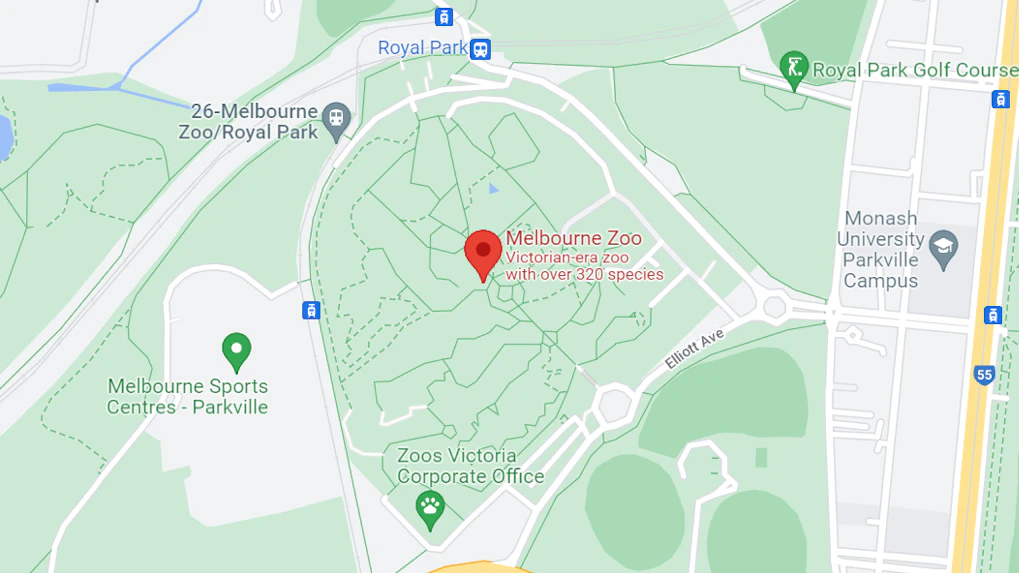 plan your visit Melbourne Zoo