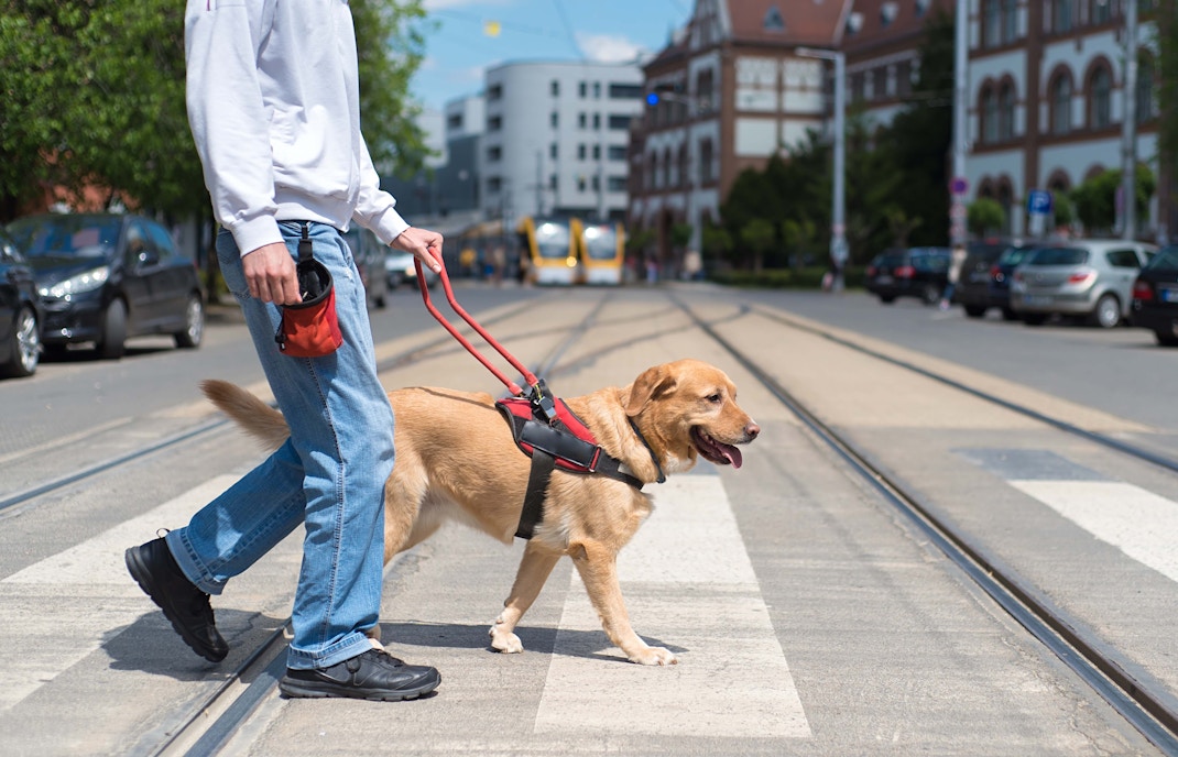 Kennedy Space Center Rules & Regulations - Pets and Guide Dogs