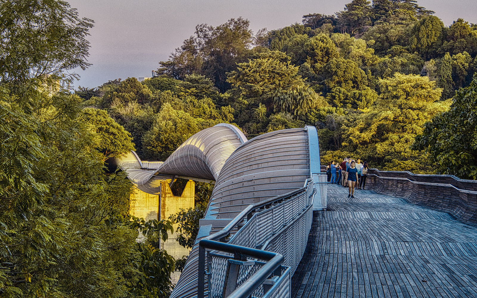 Henderson Waves bridge in Singapore with people walking along its unique wave-like structure.
