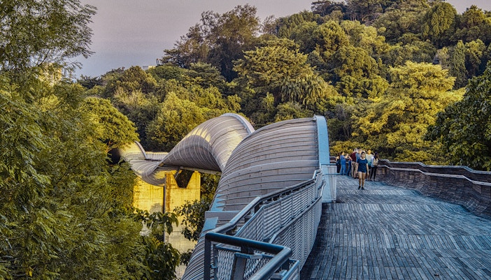 Henderson Waves bridge in Singapore with people walking along its unique wave-like structure.