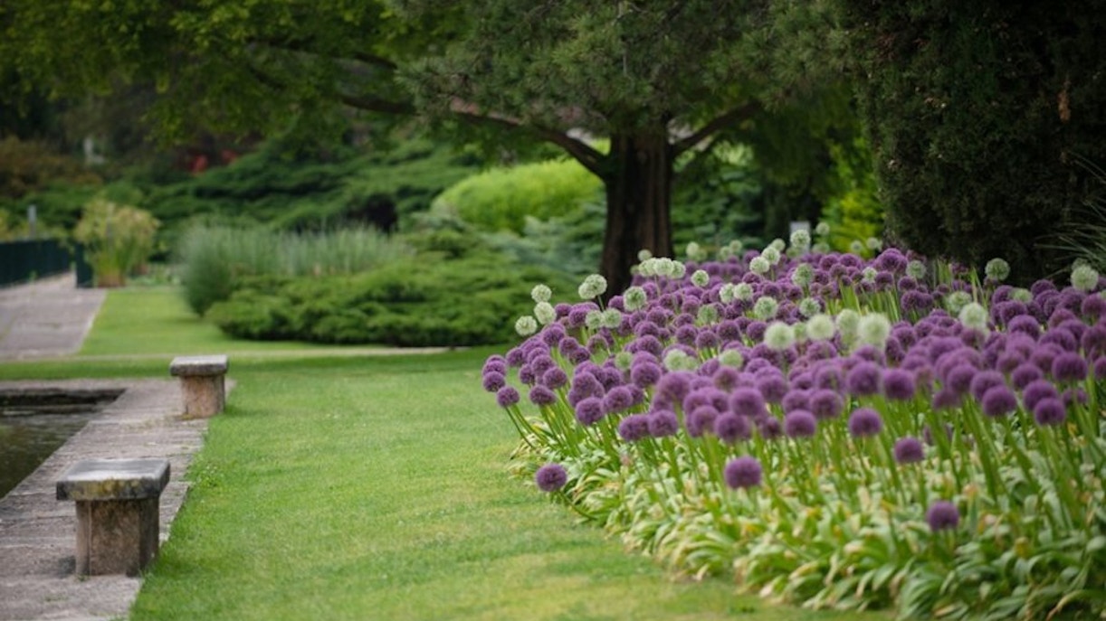 parco sigurta Accessibility