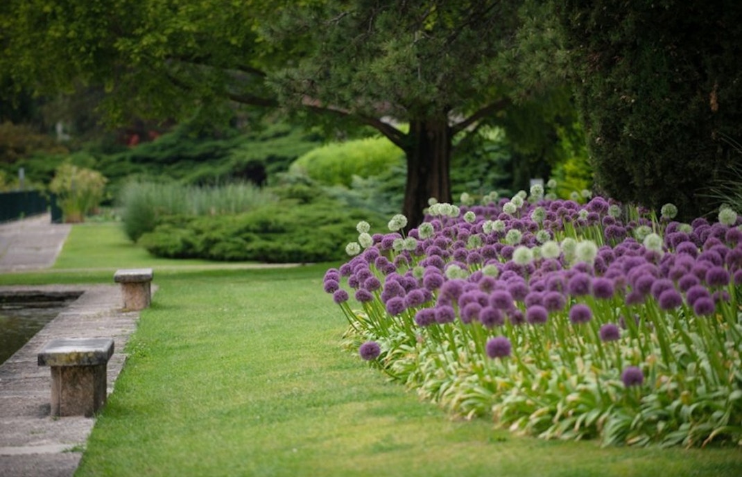 parco sigurtà