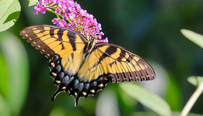 Barcelona Zoo- Biodiversity Garden