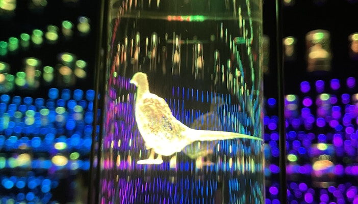 Museum Of The Future Heal Institute