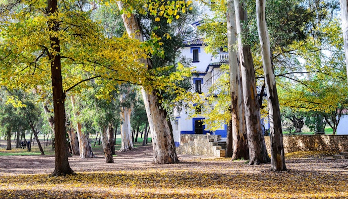Madri em abril - Palácio de Liria