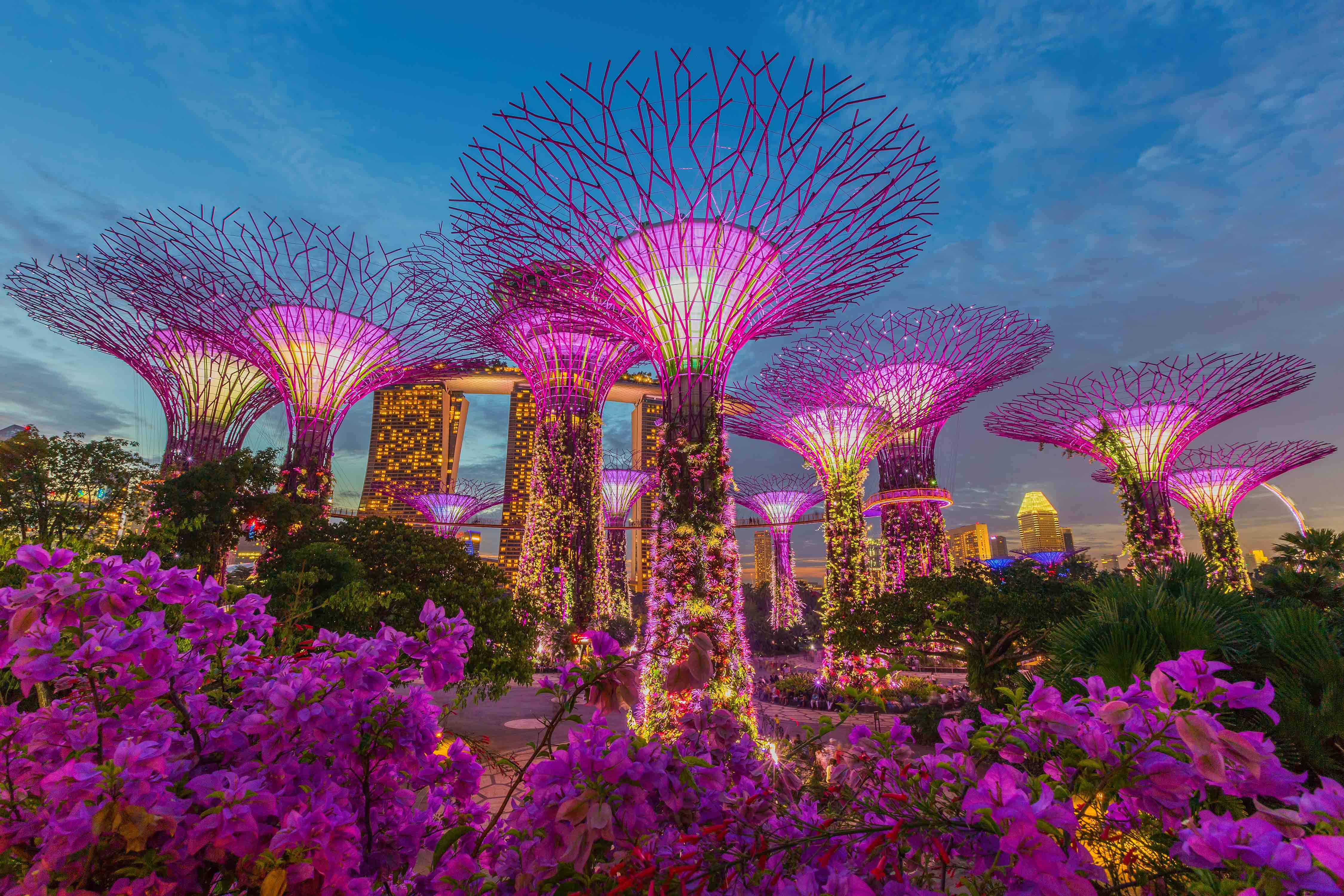 Singapore’s own Sakura season at Gardens by the Bay