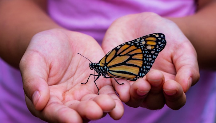 Dubai to Sharjah- An Evening in Al Qasba