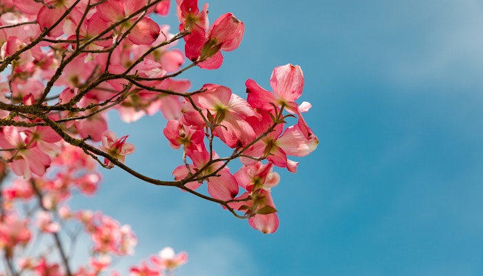 Oasis Wildlife Fuerteventura tickets