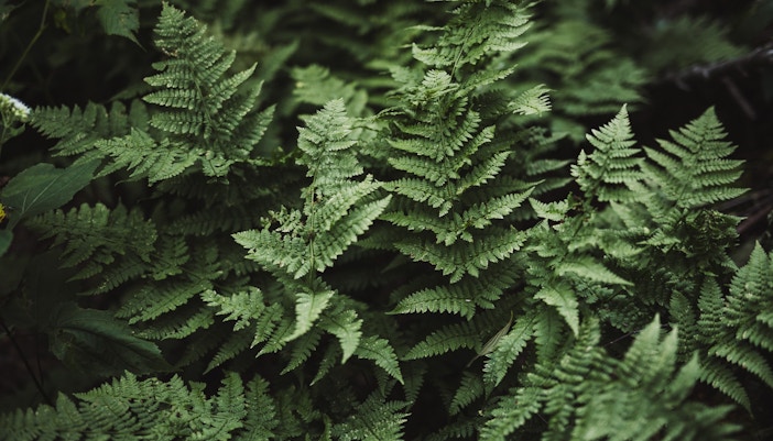 Central Florida Zoo & Botanical Gardens