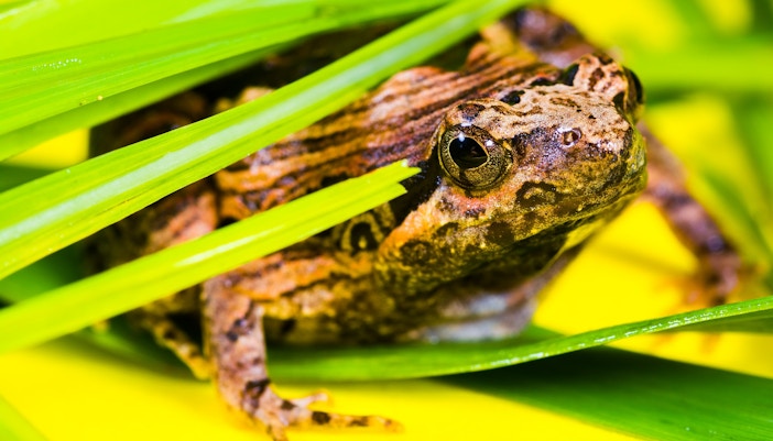Central Florida Zoo & Botanical Gardens