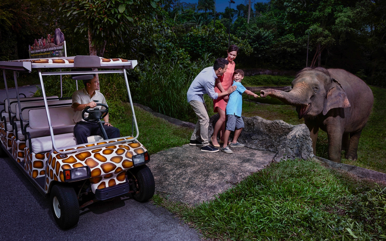 Family feeding elephant during Night Safari Singapore in October.