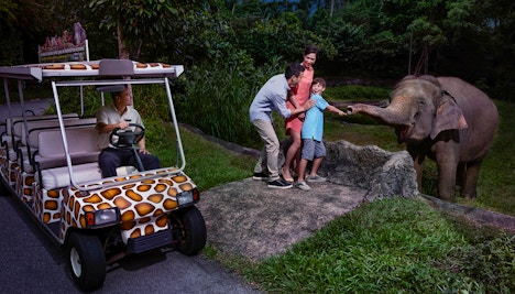 Singapore in October - Night Safari Singapore