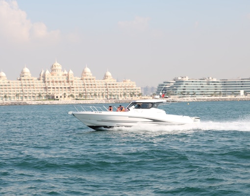 The View at the Palm Timings