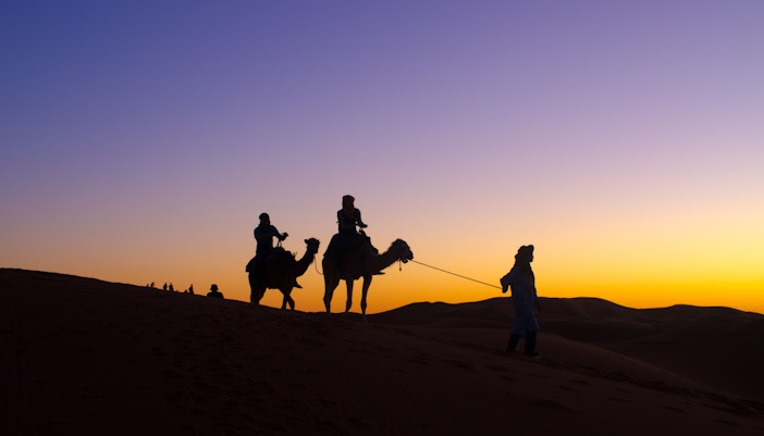 Guests on a Camel at night