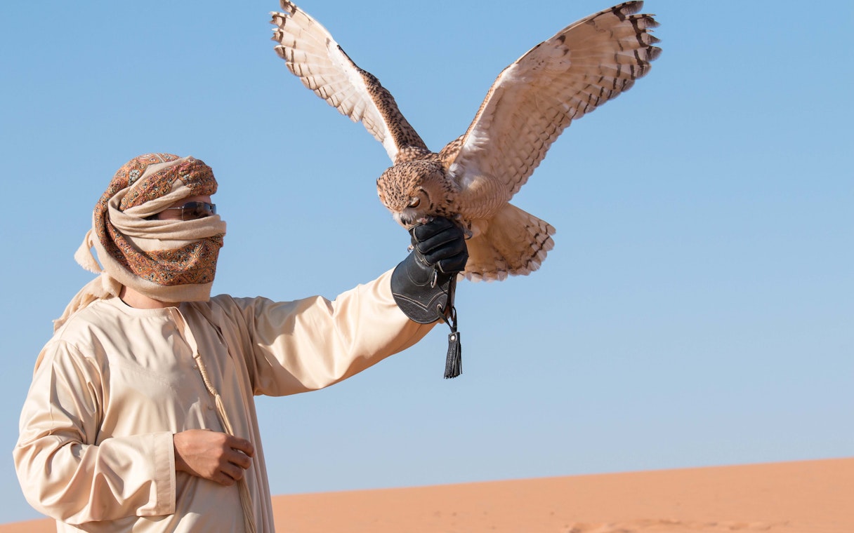 Falconer with falcon in desert during morning safari.