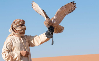 Falconer with falcon in desert during morning safari.