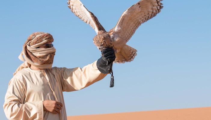 dubai desert safari activities