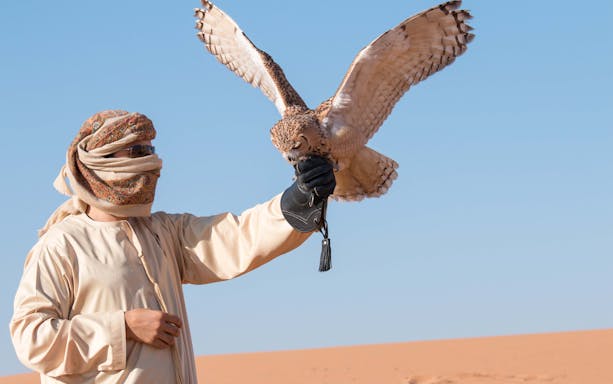 Falconer with falcon in desert during morning safari.