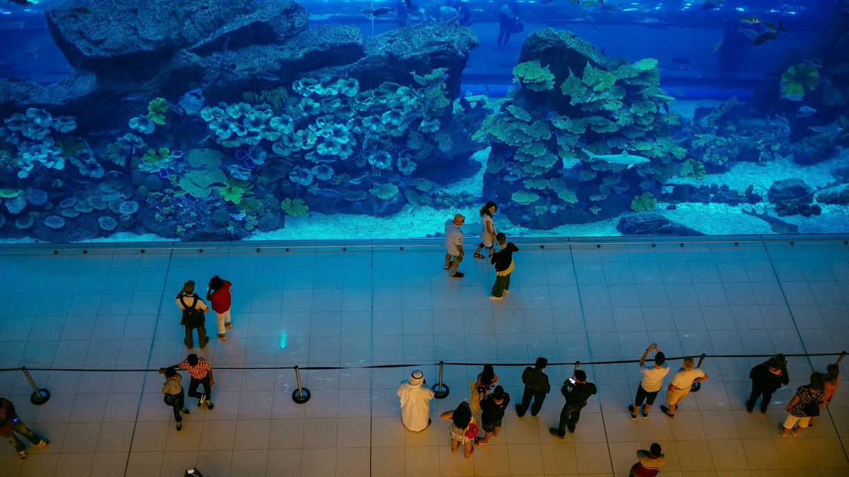 Address and Directions