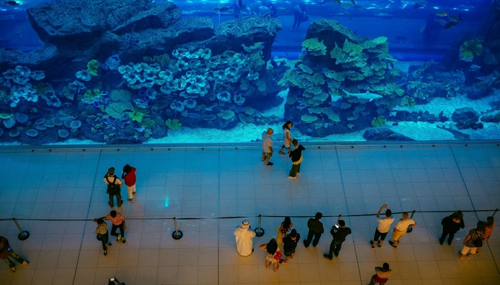 Aquário de Dubai Ingressos - Tanque do Aquário