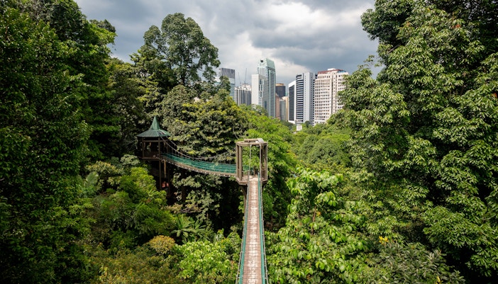 Canopy walkway in KL Forest Eco Park with city skyline in the background.