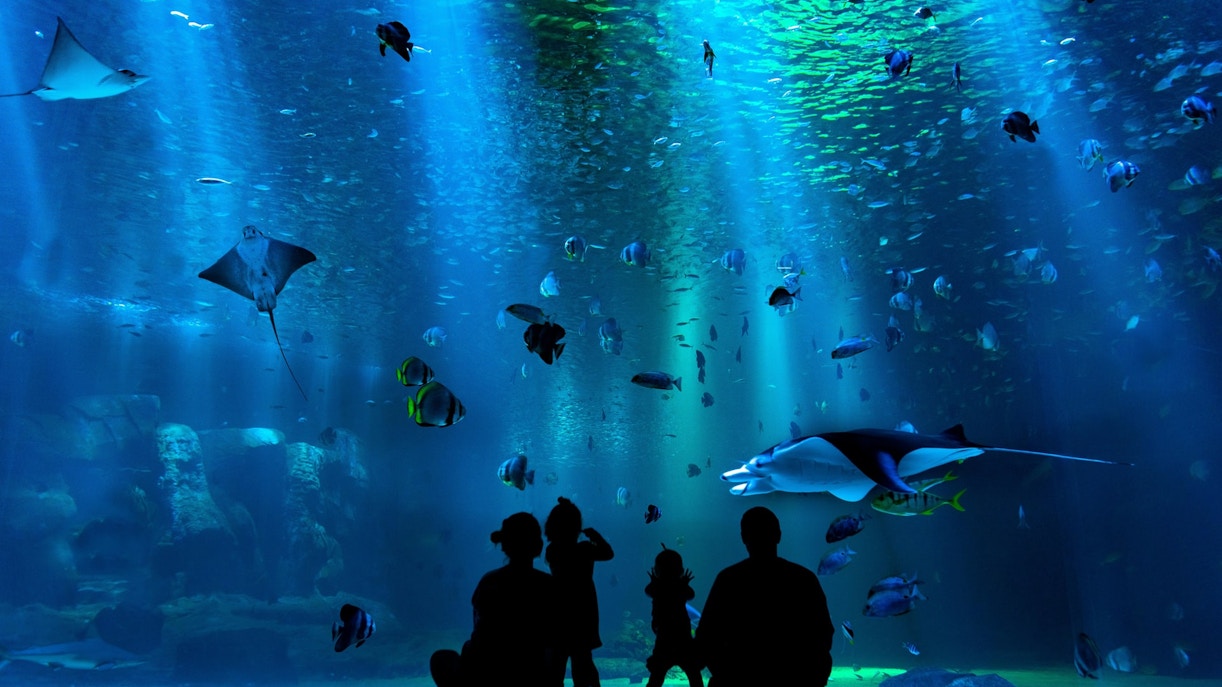 Terra Natura Zoo Tickets