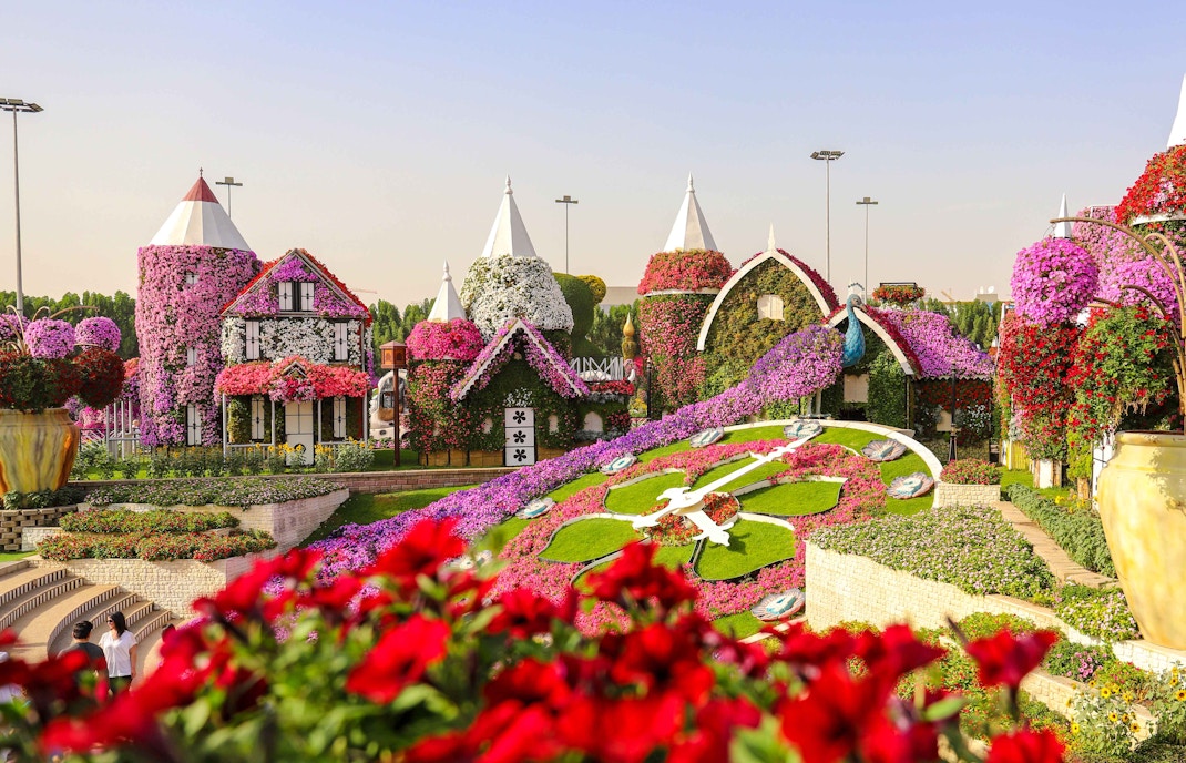 Miracle garden Rules