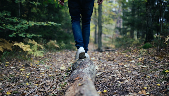 Dubai to Fujairah - Day Trip