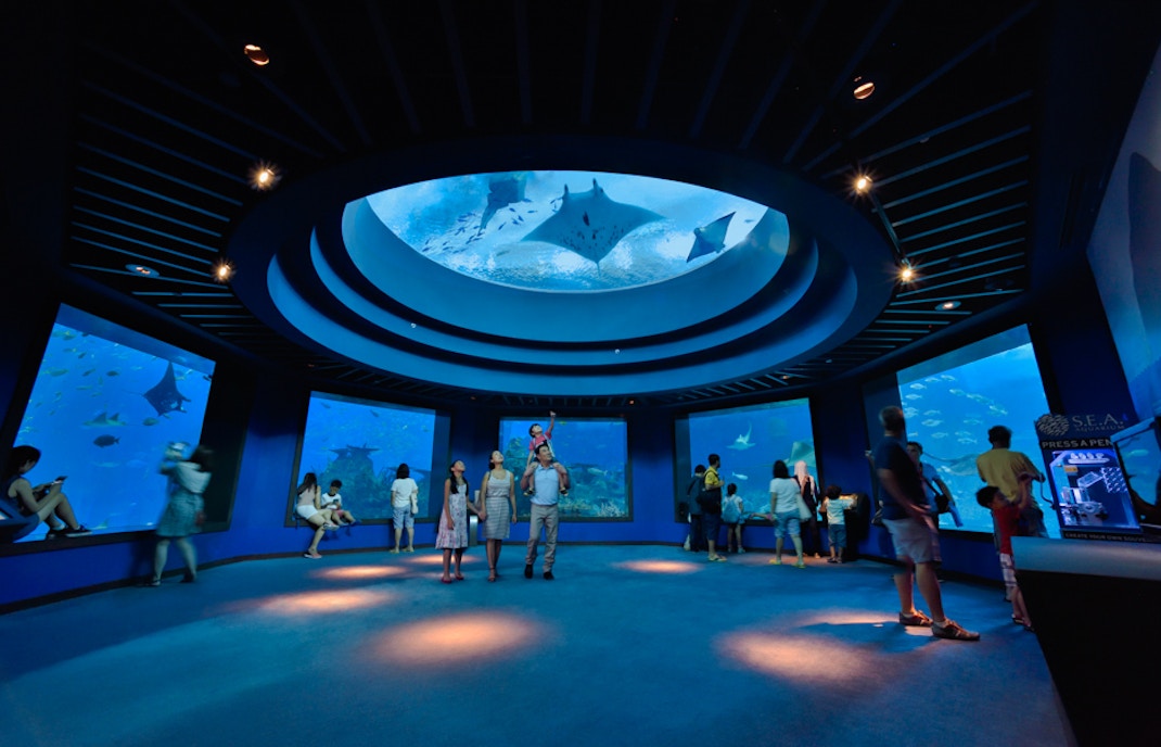 hal-hal yang bisa dilakukan di sentosa singapura