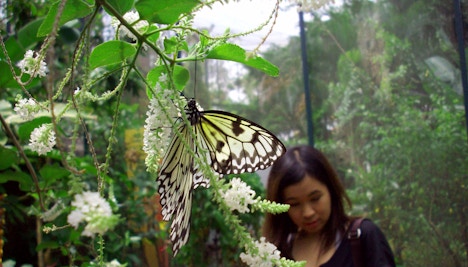 Singapore in May - Orchard Road