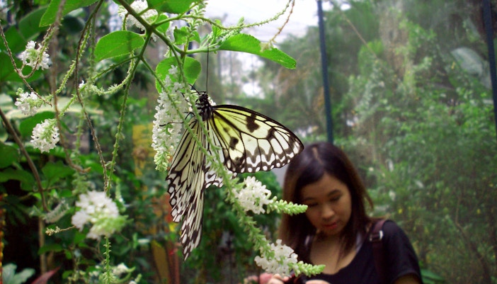 Singapore in May - Orchard Road