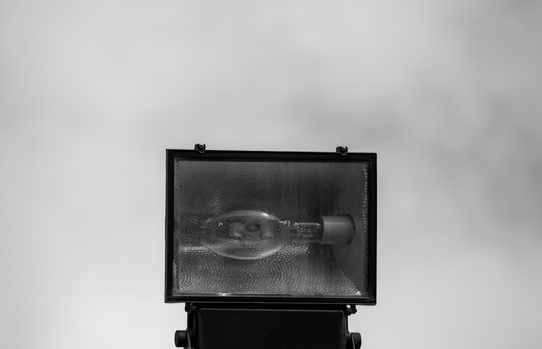 Rodin Museum Exhibitions